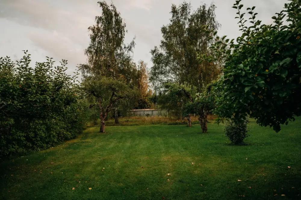 1920s-family-home-1-hour-from-stockholm-nordbu