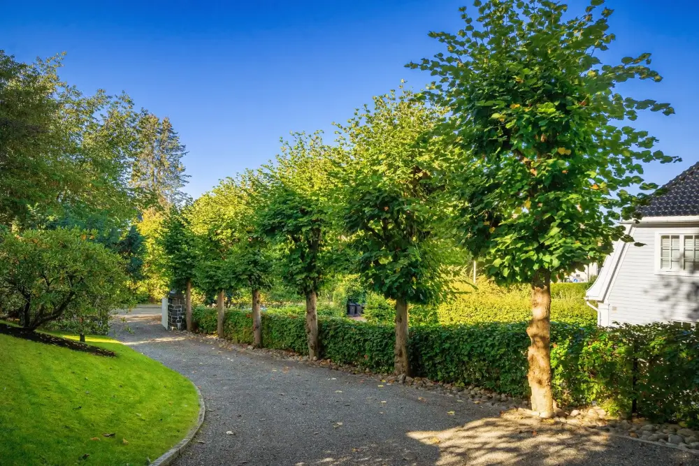 icelandic-ambassadors-residence-oslo-for-sale