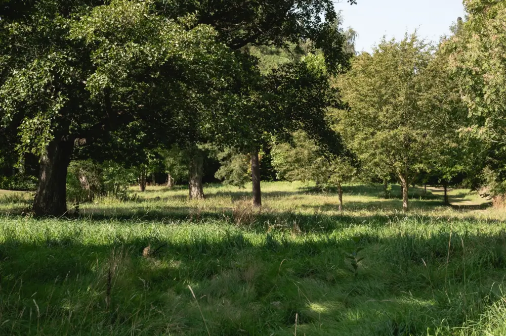 late-19th-century-estate-south-zealand-denmark-english-inspired-park-nordbu