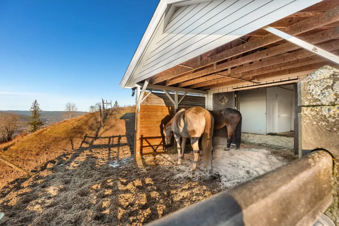 villa-with-stables-large-plot-near-oslo-norway-nordbu